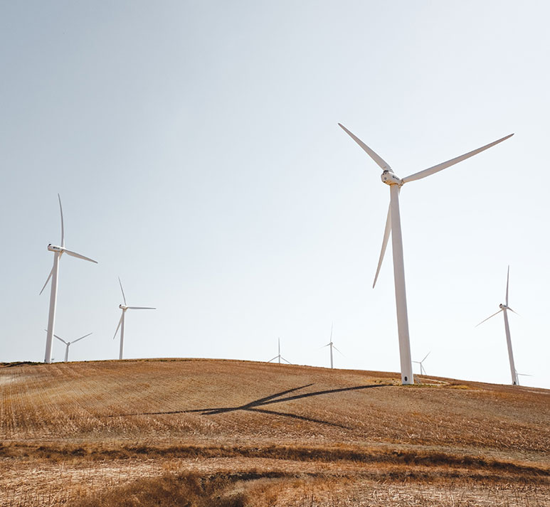 Field of Wind Turbines